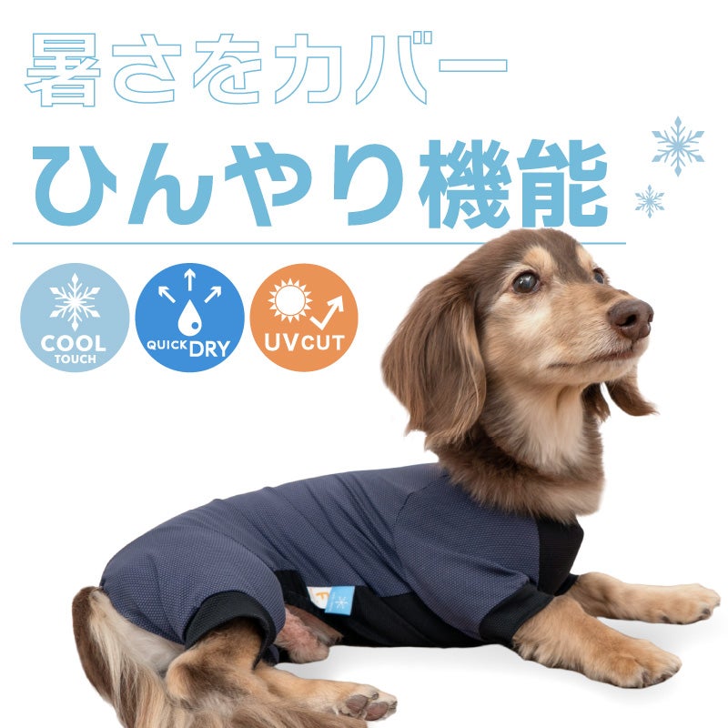 ドッグプレイ(R)接触冷感ストレッチハニカムラッシュガード(ダックス・小型犬用)