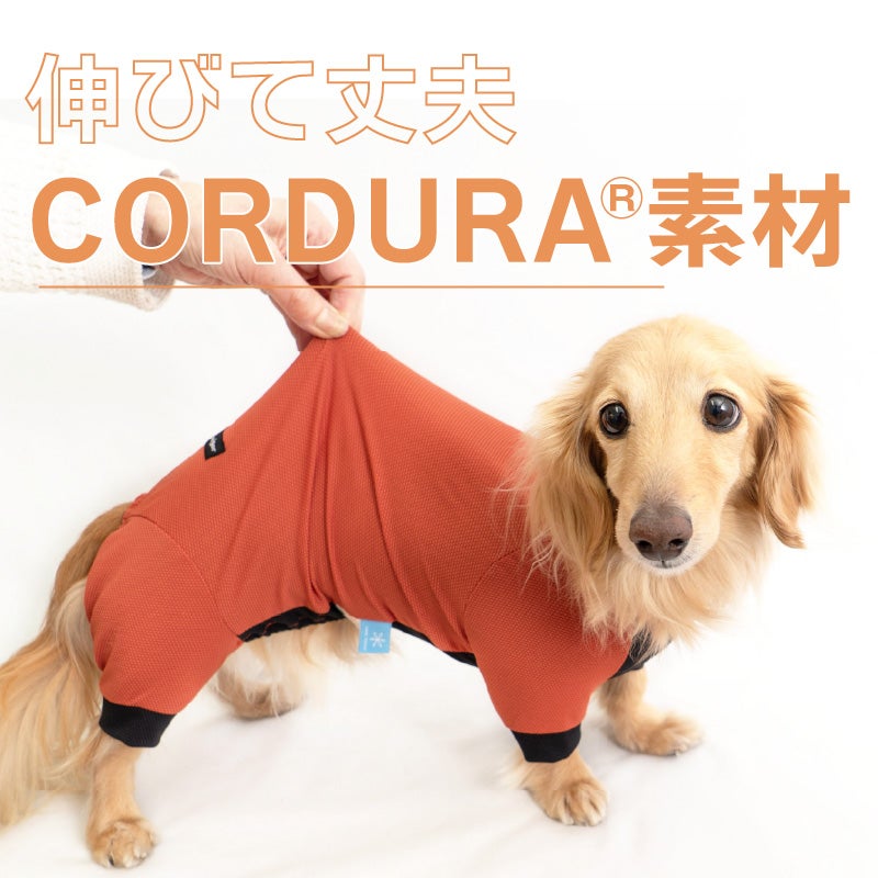 ドッグプレイ(R)接触冷感ストレッチハニカムラッシュガード(ダックス・小型犬用)