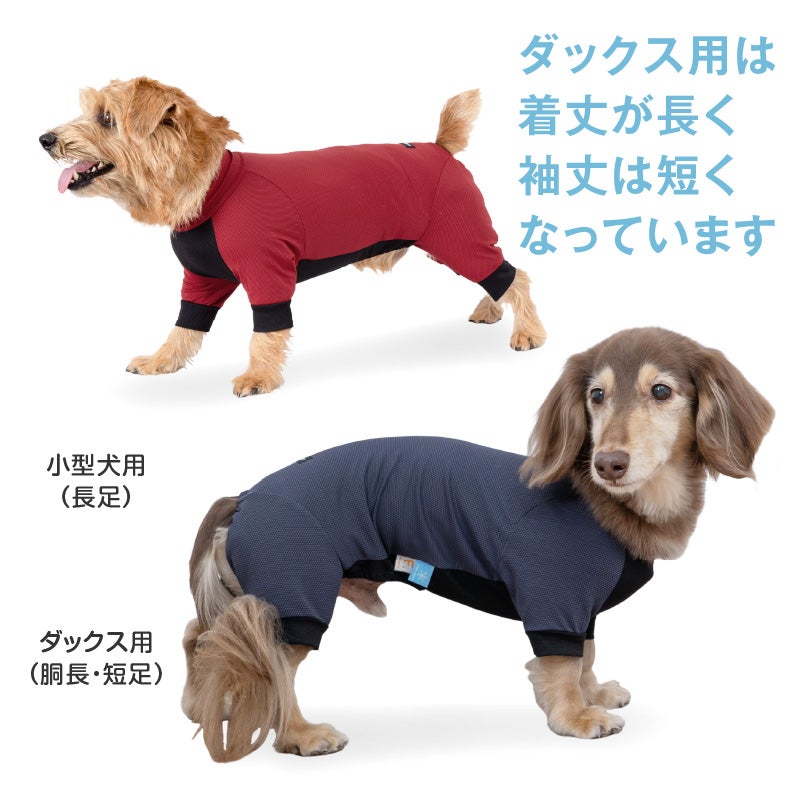 ドッグプレイ(R)接触冷感ストレッチハニカムラッシュガード(ダックス・小型犬用)