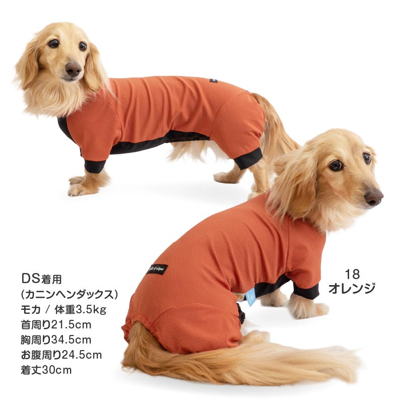 ドッグプレイ(R)接触冷感ストレッチハニカムラッシュガード(ダックス・小型犬用)