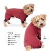 ドッグプレイ(R)接触冷感ストレッチハニカムラッシュガード(ダックス・小型犬用)