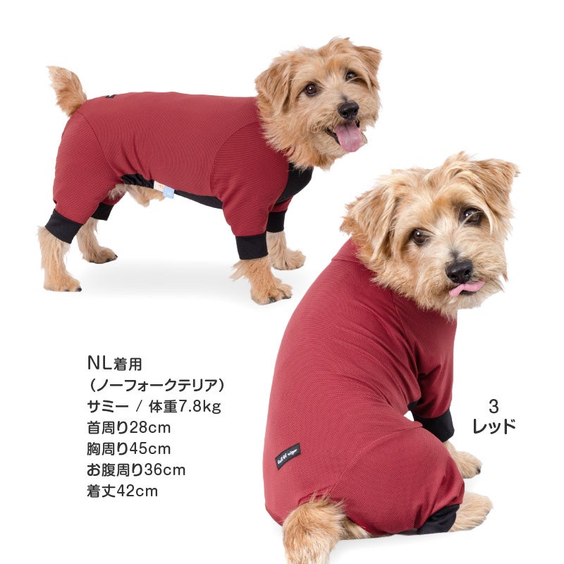 ドッグプレイ(R)接触冷感ストレッチハニカムラッシュガード(ダックス・小型犬用)