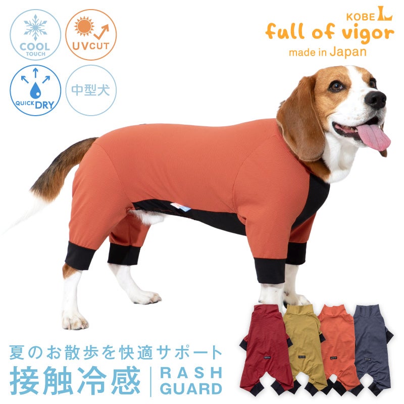 20%OFFクーポン対象】【5/4 21時～5/10 23時59分まで】中型犬用 伸びて