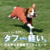 ドッグプレイ(R)接触冷感ストレッチハニカムラッシュガード(中型犬用)