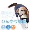 ドッグプレイ(R)接触冷感ストレッチハニカムラッシュガード(中型犬用)