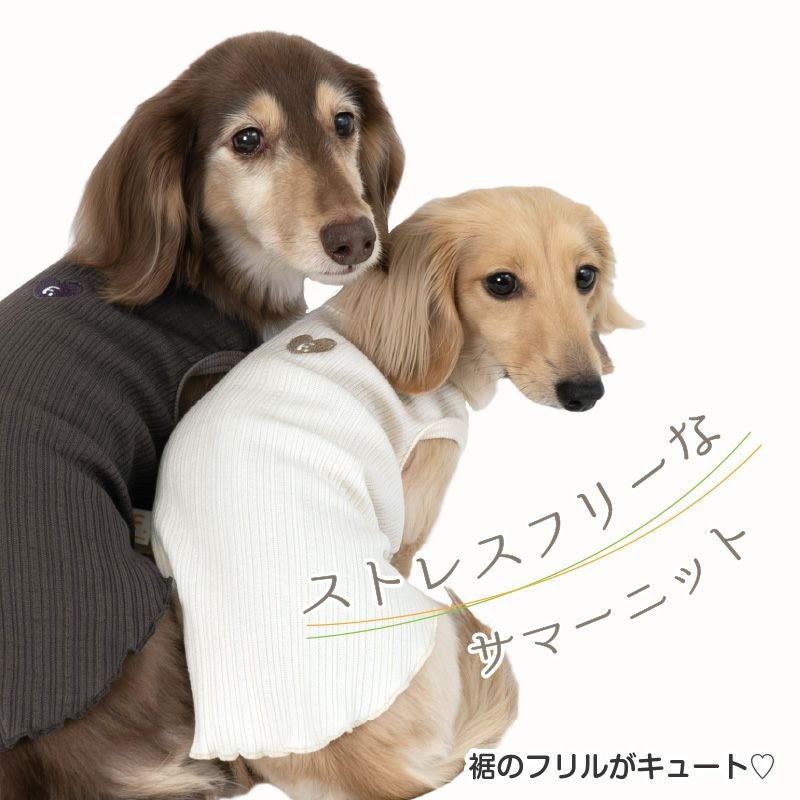 ランダム ニット 裾 フリル タンク ダックス 小型犬用 | ダックス、猫