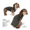 ランダムニット裾フリルタンク(ダックス・小型犬用)
