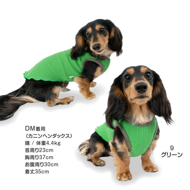 ランダムニット裾フリルタンク(ダックス・小型犬用)