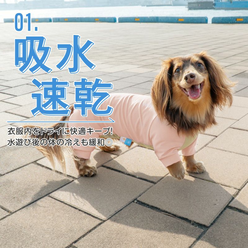 ドッグプレイ(R)吸水速乾防蚊ラッシュガード(ダックス・小型犬用)