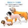 ドッグプレイ(R)吸水速乾防蚊ラッシュガード(ダックス・小型犬用)