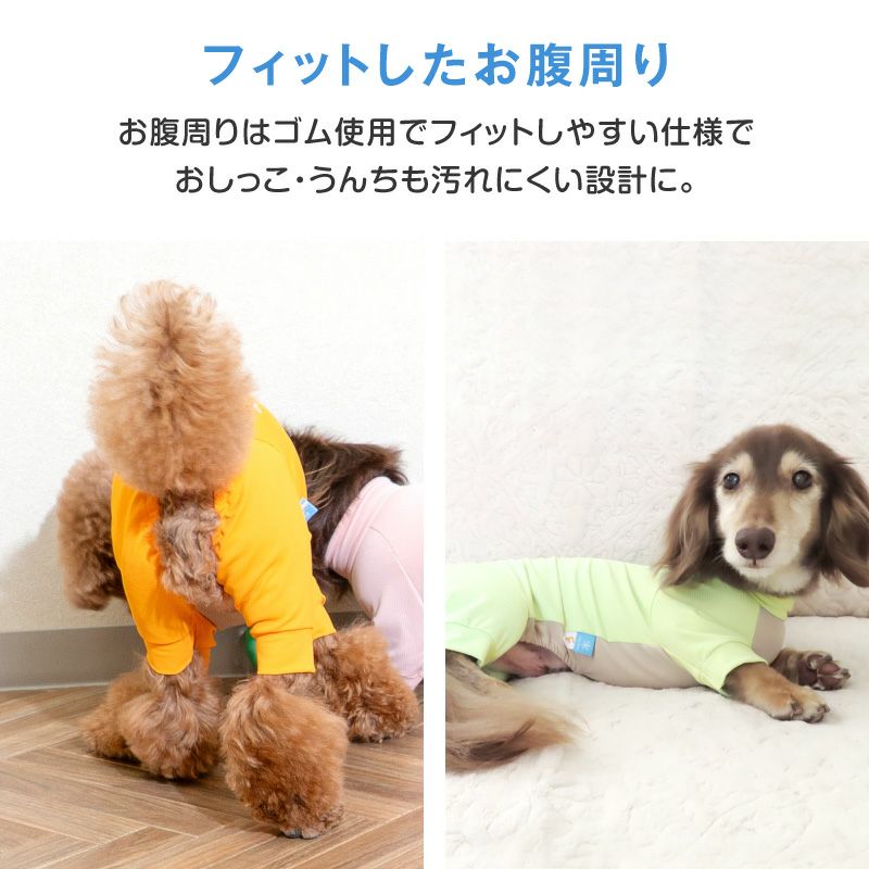 ドッグプレイ(R)吸水速乾防蚊ラッシュガード(ダックス・小型犬用)
