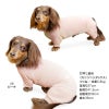 ドッグプレイ(R)吸水速乾防蚊ラッシュガード(ダックス・小型犬用)