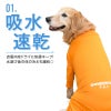 ドッグプレイ(R)吸水速乾防蚊ラッシュガード(大型犬用)