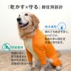 ドッグプレイ(R)吸水速乾防蚊ラッシュガード(大型犬用)