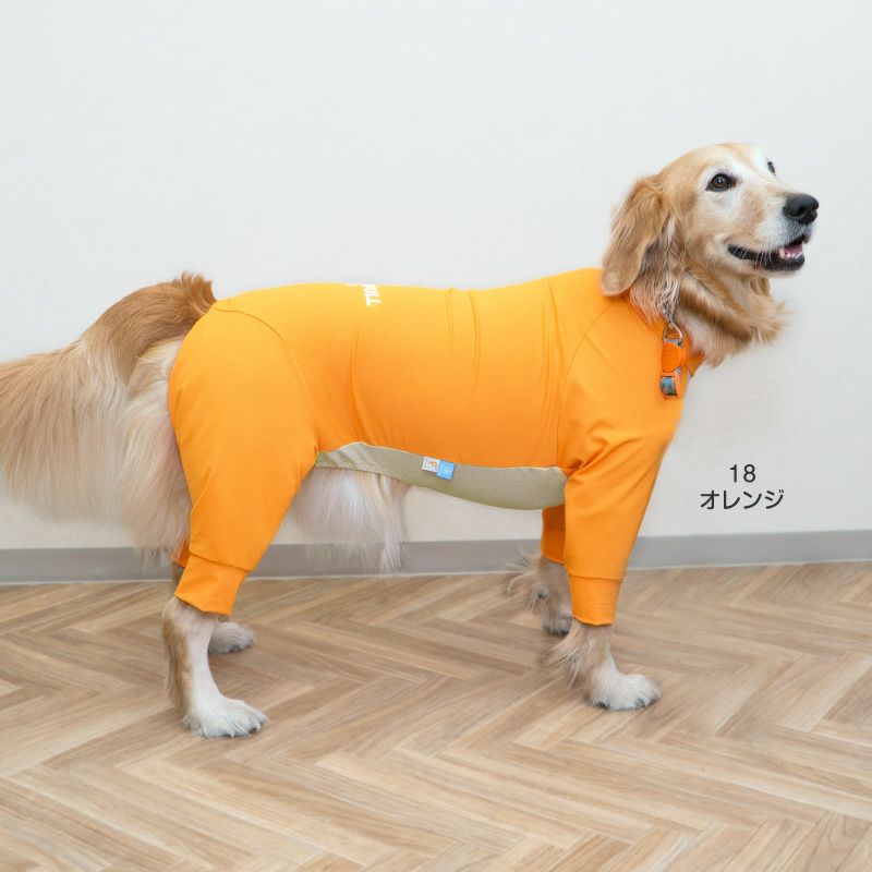 大型犬用 伸びて 着せやすい ドッグプレイ(R) 吸水速乾 防蚊 ラッシュ