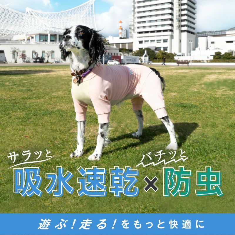 中型犬用 伸びて 着せやすい ドッグプレイ(R) 吸水速乾 防蚊 ラッシュ