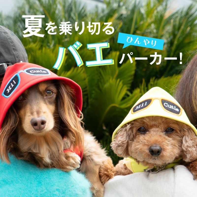ミニロディーニ|ダックス犬柄ジャケット|size92-98 接触冷感 サングラス フード パーカー ダックス 小型犬用 | ダックス