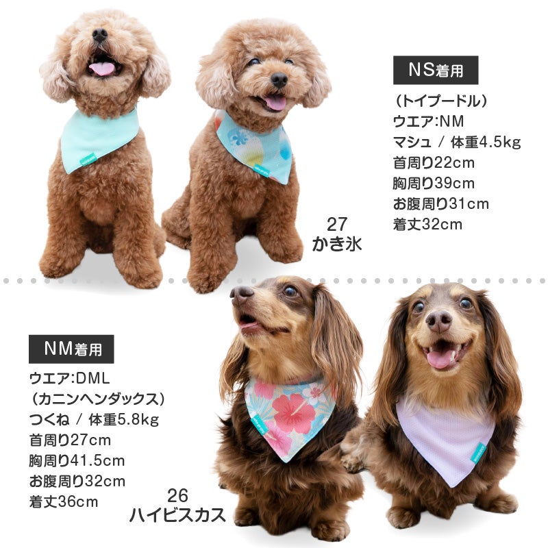 接触冷感 防蚊 柄 昇華プリント バンダナ | ダックス、猫 、小型犬