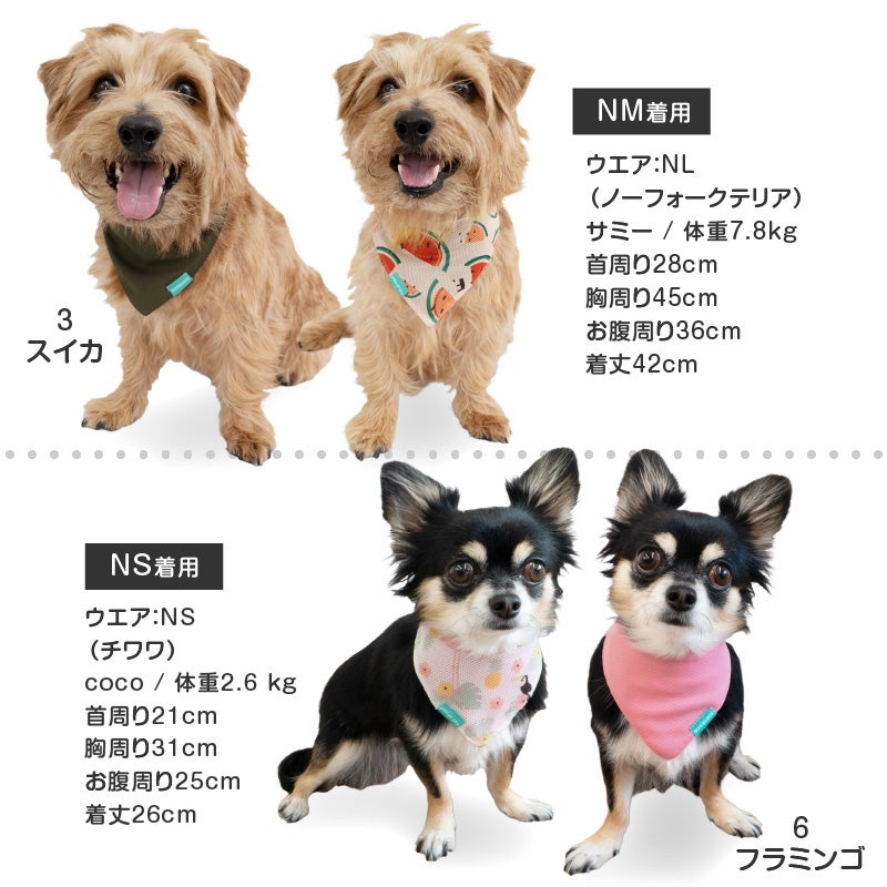 接触冷感 防蚊 柄 昇華プリント バンダナ | ダックス、猫 、小型犬