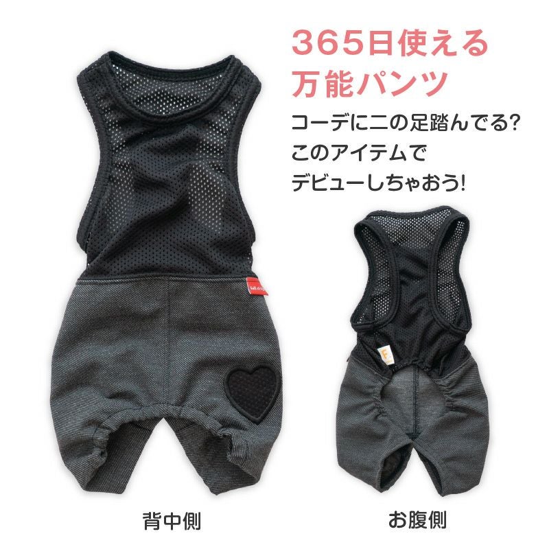 Ask how asデニムとカーキのセット 小型犬用 おそろコーデ デニム ニット パンツ ダックス 小型犬用 | ダックス、猫