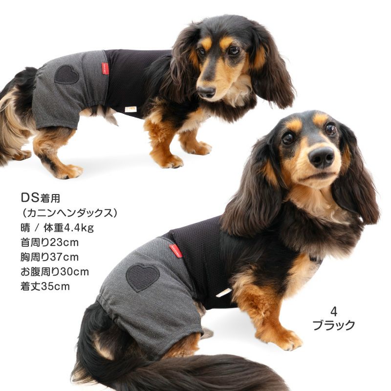 おそろコーデ デニム ニット パンツ ダックス 小型犬用 | ダックス、猫