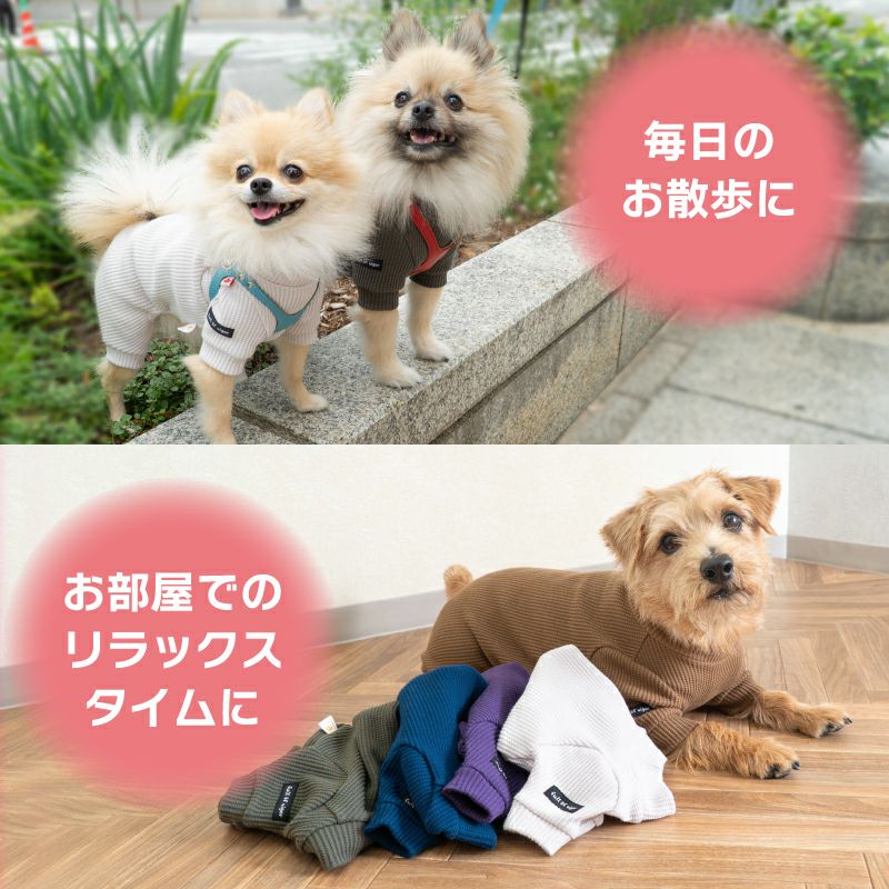 ストレッチ ベアワッフル 袖あり つなぎ ダックス 小型犬用 | ダックス