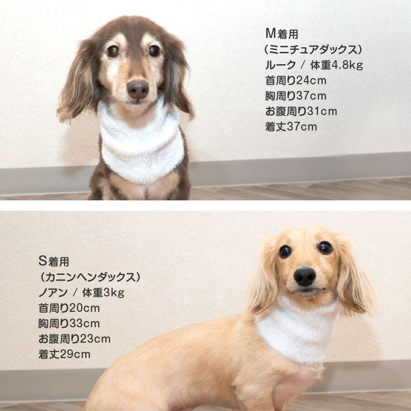 000000002016-13.jpg?size=l&w=