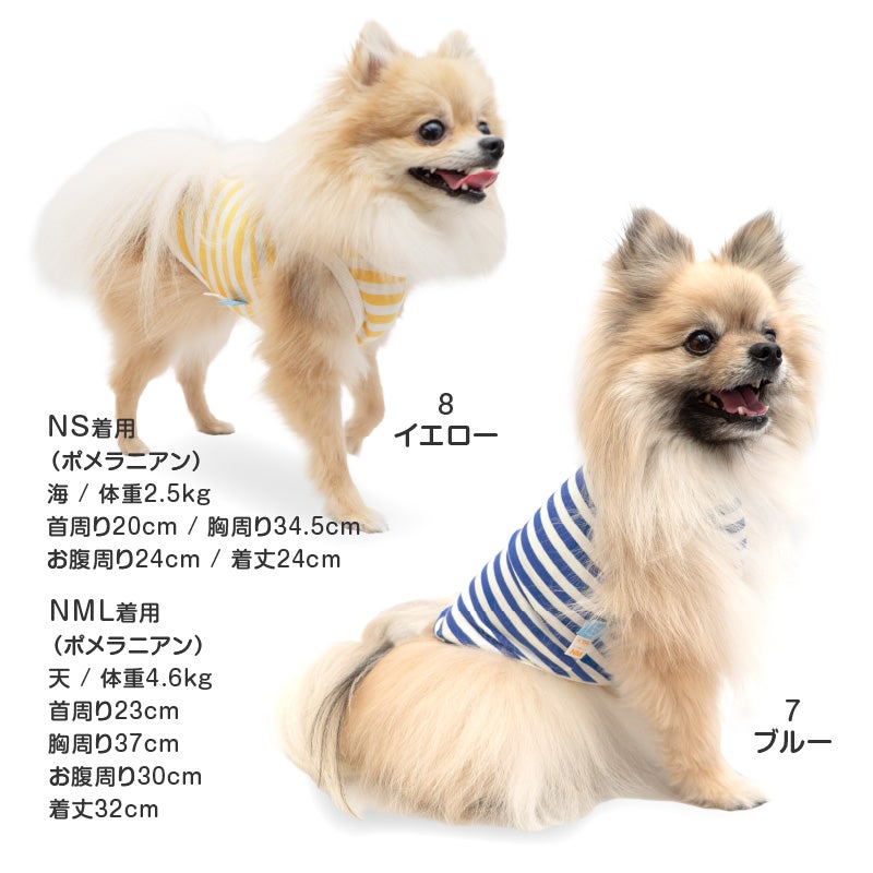 30%OFFクーポン対象】【4/1限定販売】フル福袋コーデセット | ダックス
