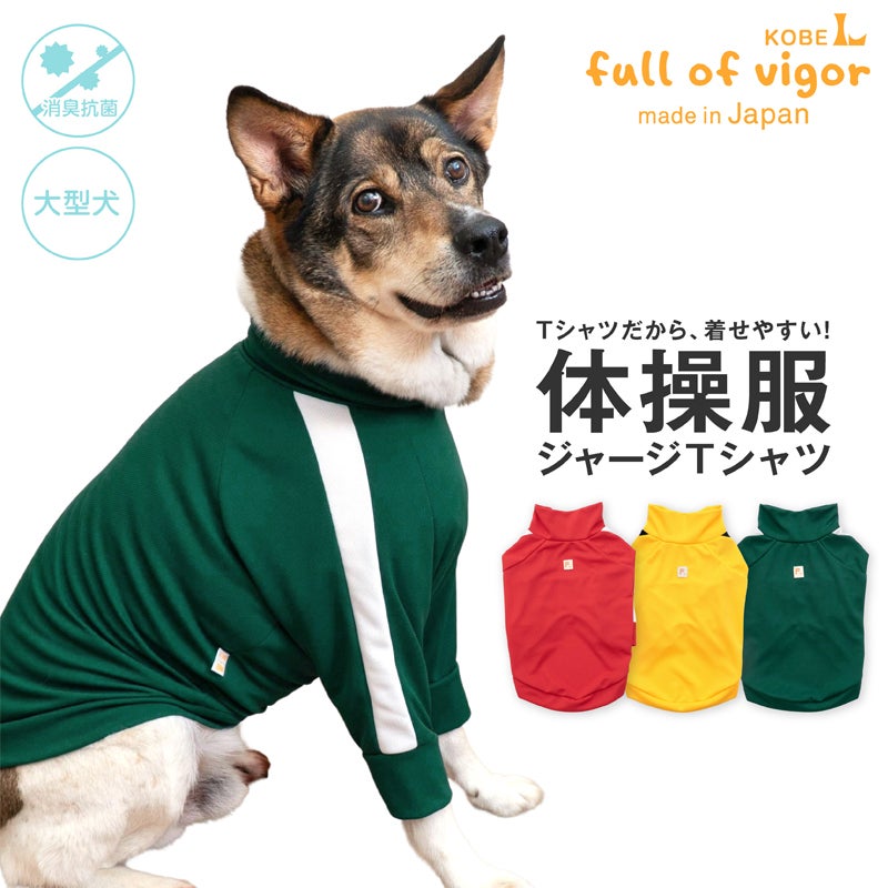 ダックス、猫 、小型犬の服、ドッグスリング（犬用スリング）、犬・猫