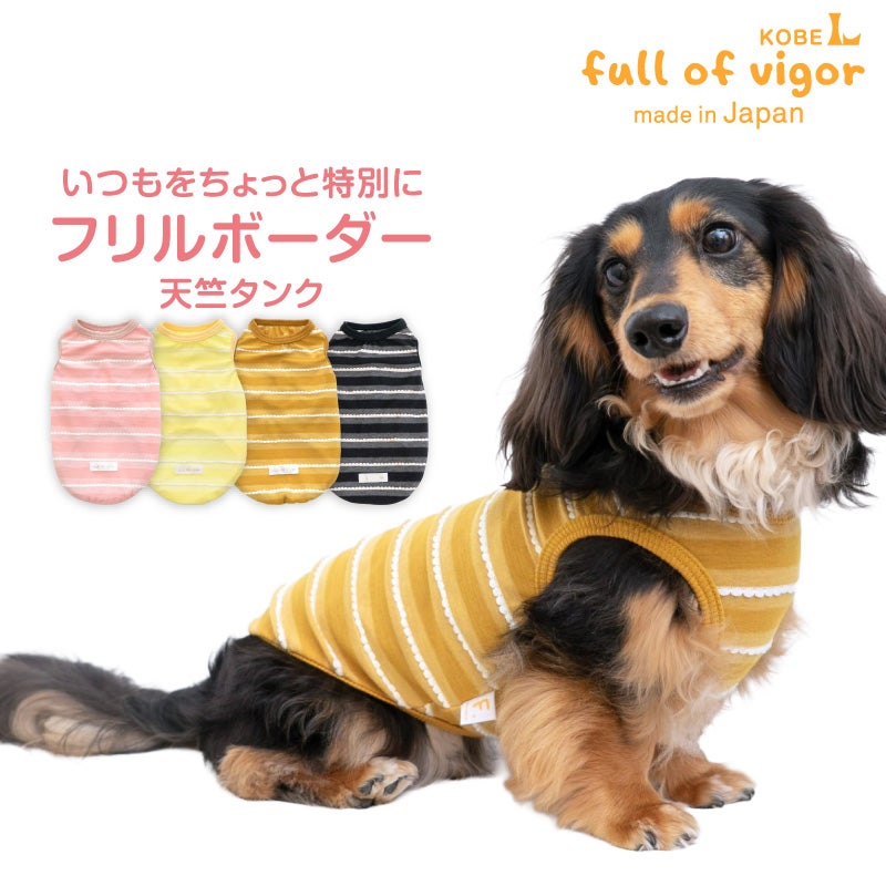 フリル ボーダー 天竺 タンク ダックス 小型犬用 | ダックス、猫