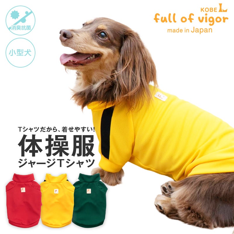 ドッグプレイ(R) 体操服 ジャージ Tシャツ ダックス 小型犬用 体温調整