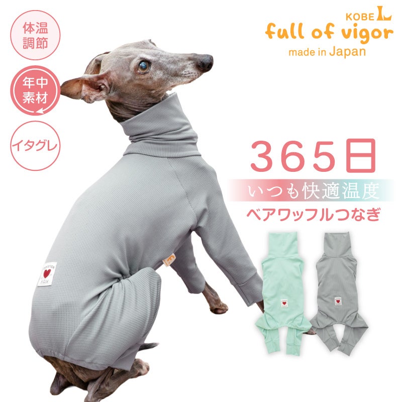 イタグレ服 イタグレウェア イタリアングレーハウンドの服 ラッシュ